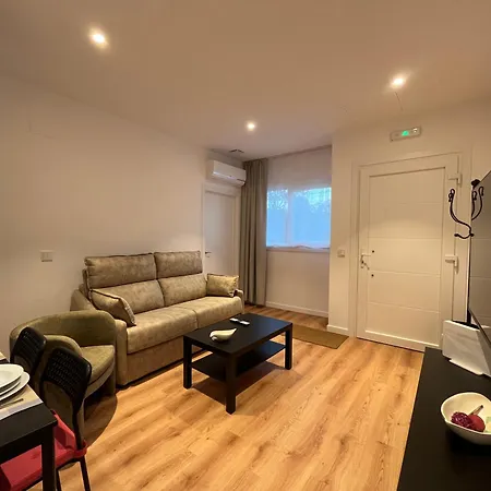 Xogo Da Ola B En El Camino De Santiago *